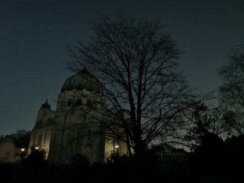 Church sideways tree.jpg