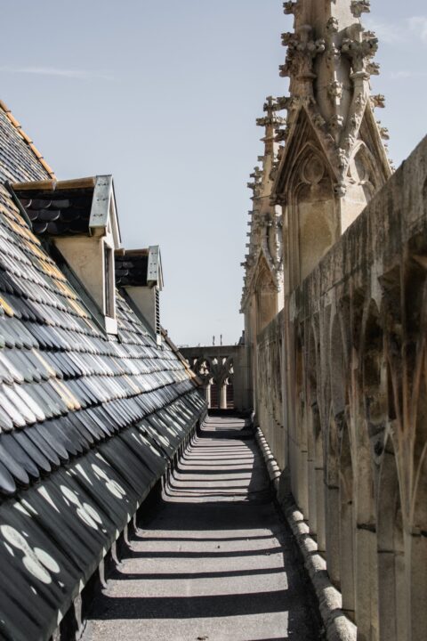 Führung Stephansdom