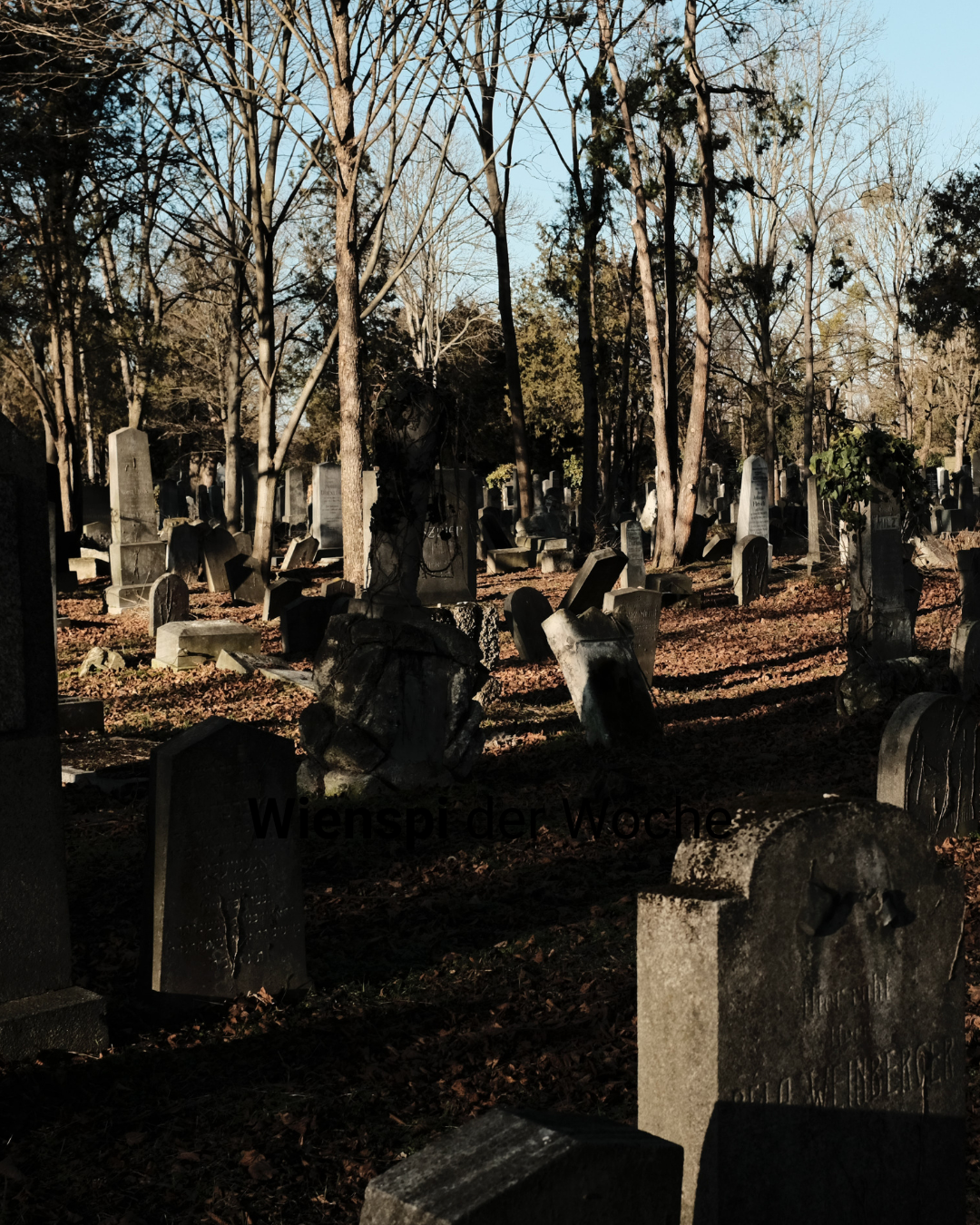 Aljüdischer Friedhof Wien